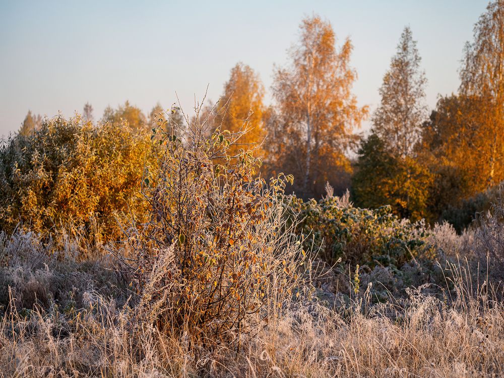 Photograph by Владимир Перепечаев