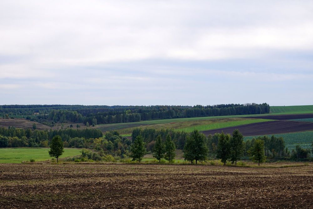 Photograph by Юрий Сычев