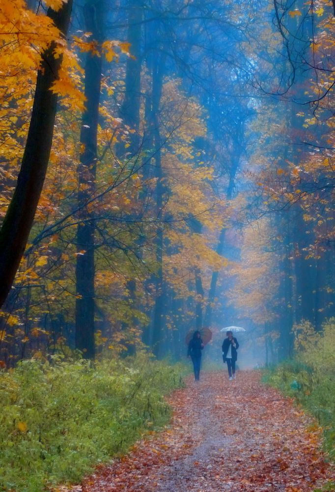 Photograph by Юрий Сычев