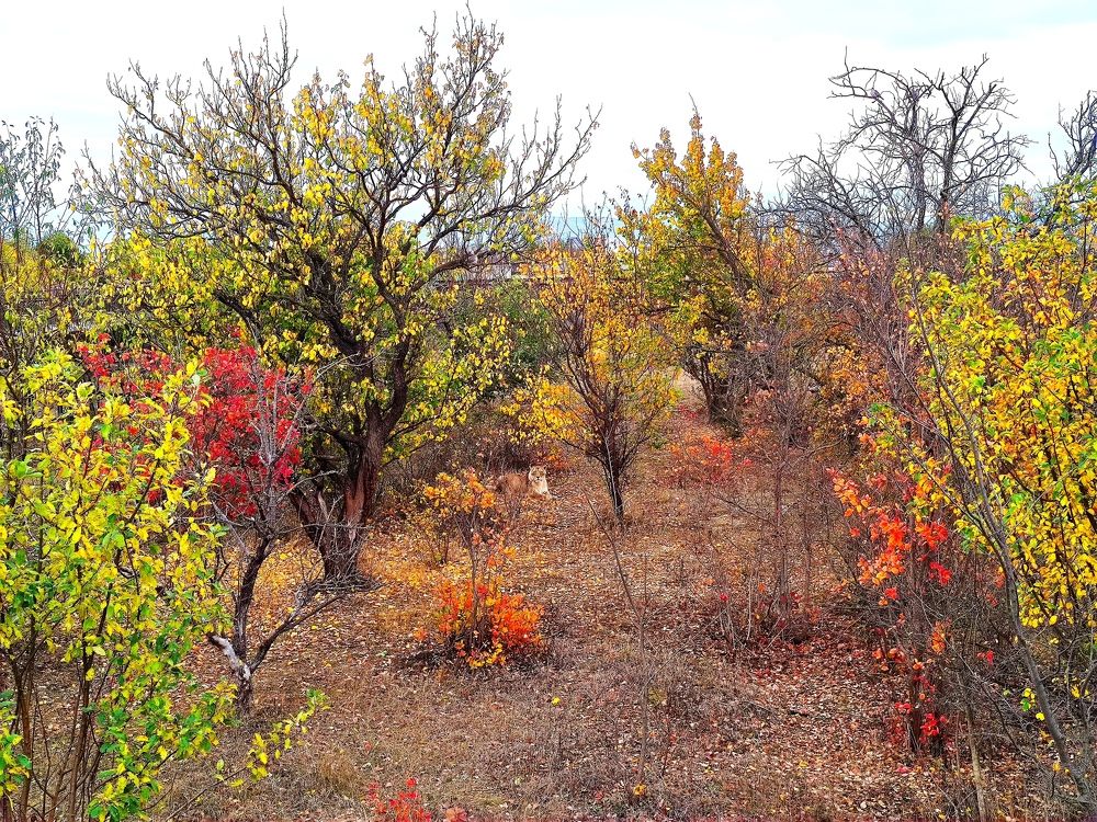 Photograph by Андрей Маргосов