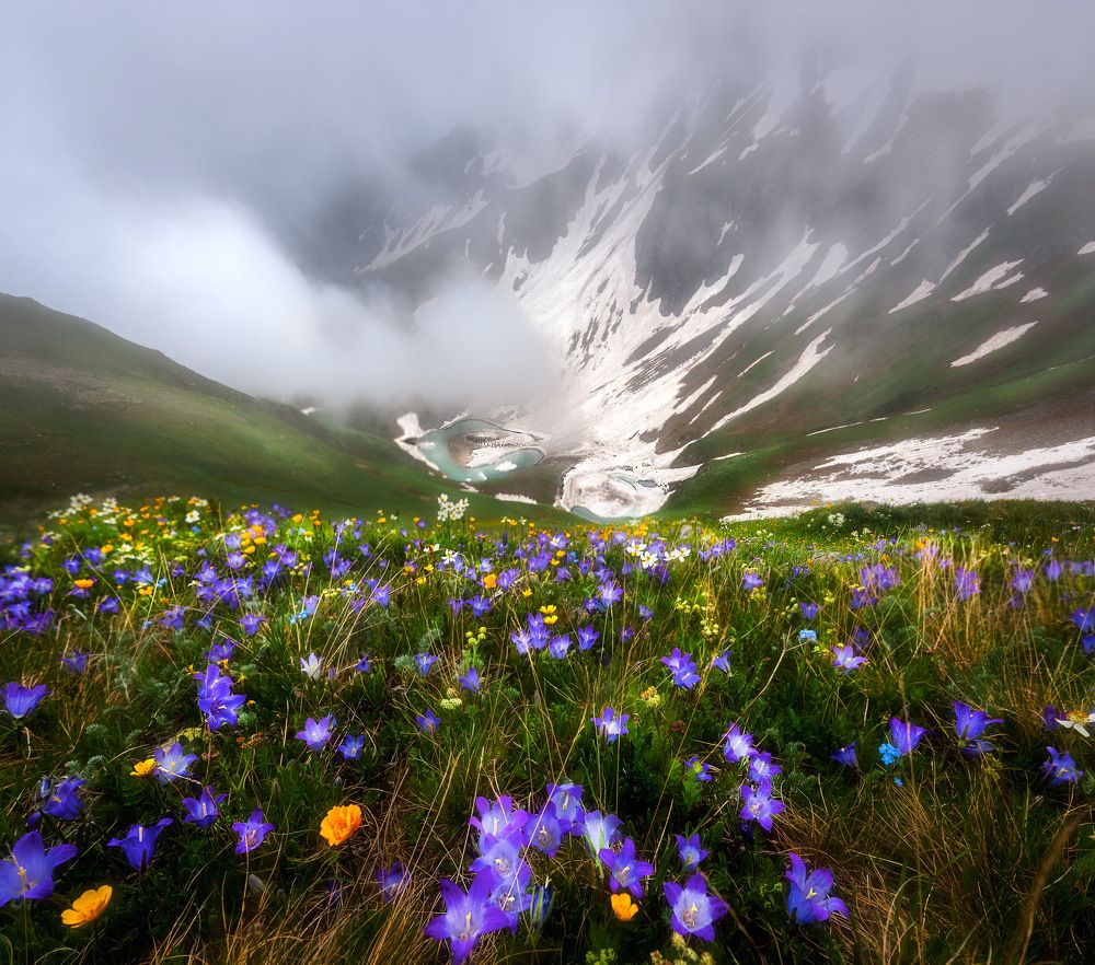 Photograph by Наргиза Кахарова