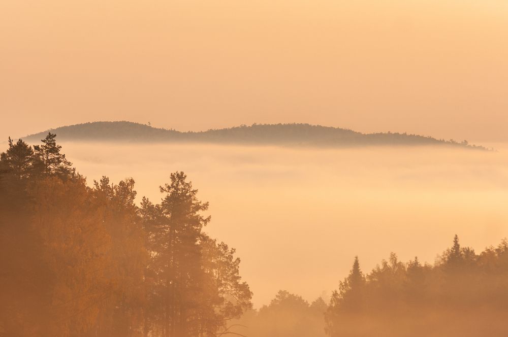 Photograph by Дмитрий Карпунин