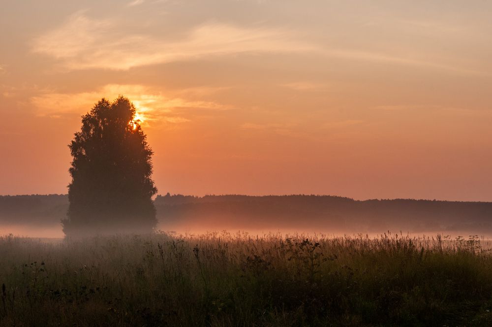 Photograph by Дмитрий Карпунин