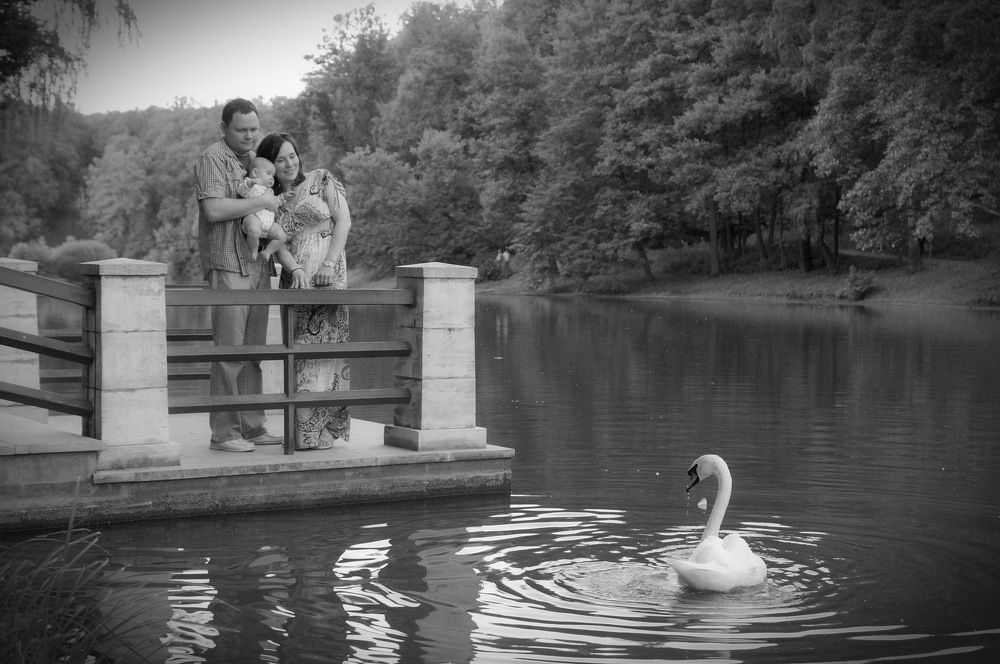 Photograph by Юрий Сычев