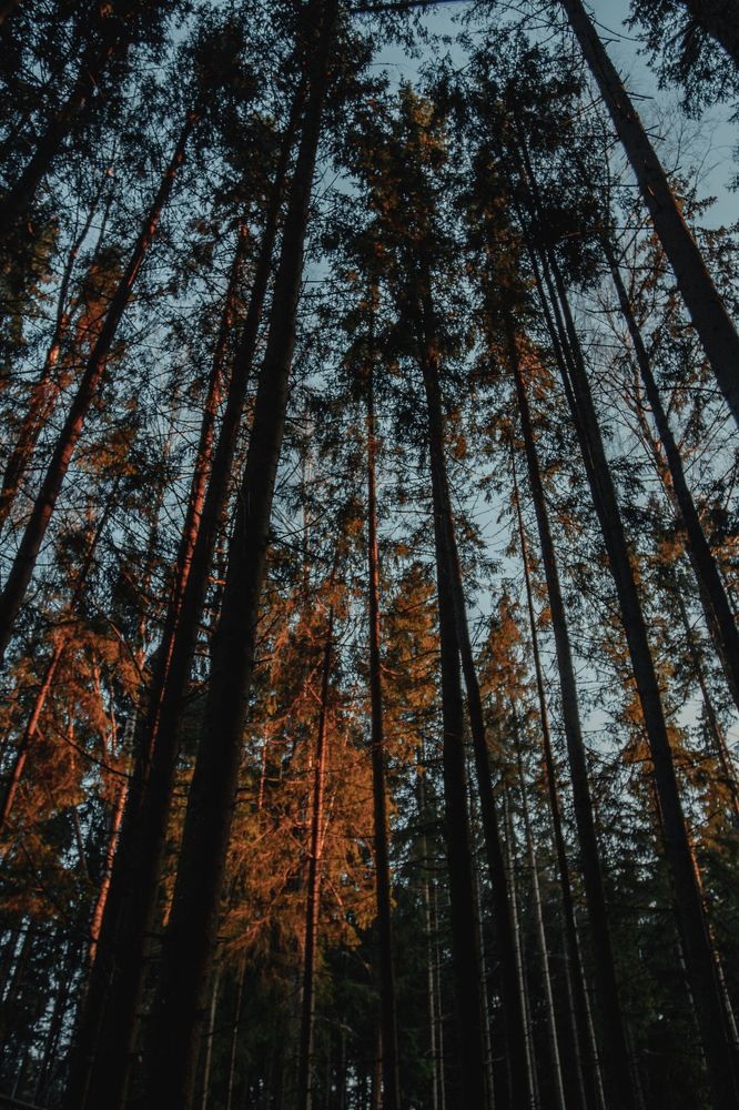 Photograph by Анастасия Кобелева