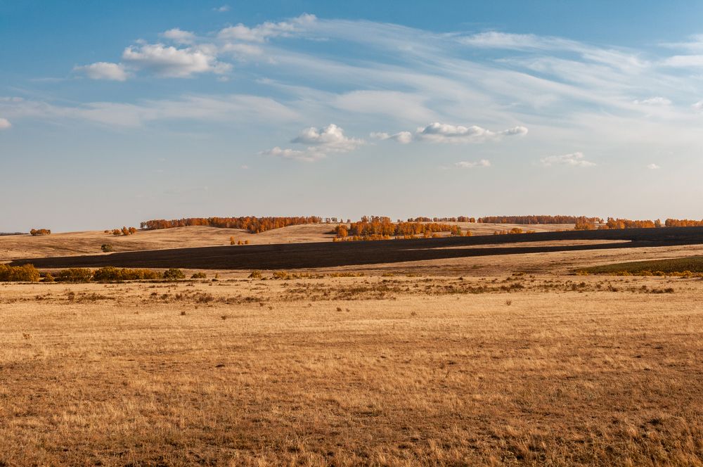 Photograph by Дмитрий Карпунин