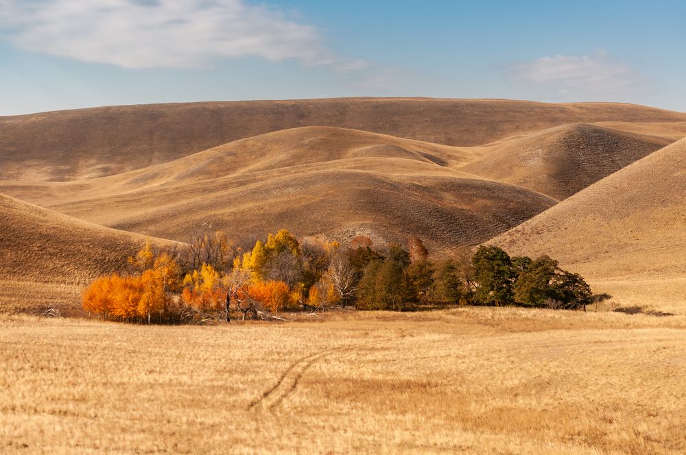 Photograph by Дмитрий Карпунин