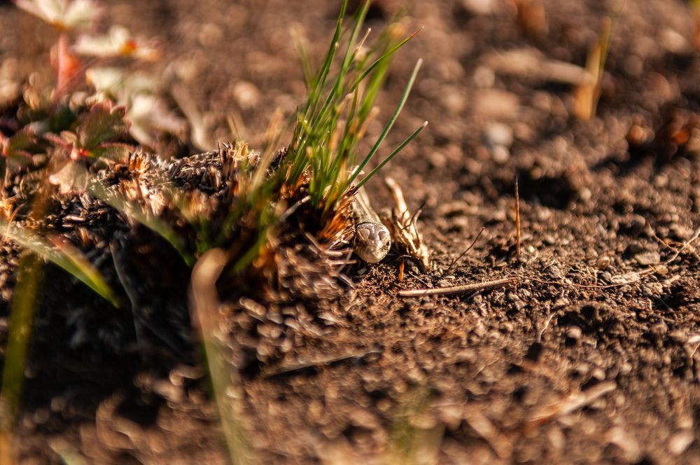 Photograph by Дмитрий Карпунин