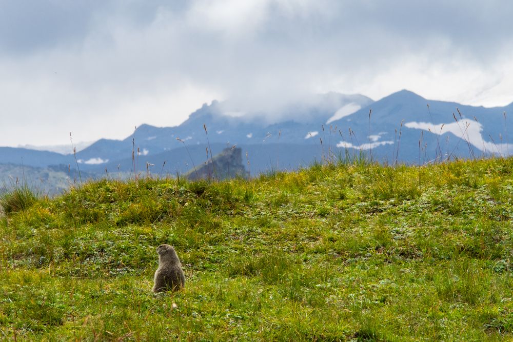 Photograph by Дмитрий Карпунин