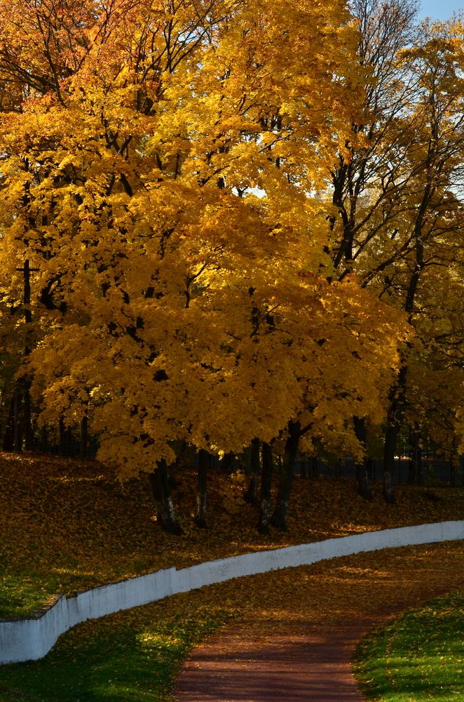 Photograph by Татьяна Козлова