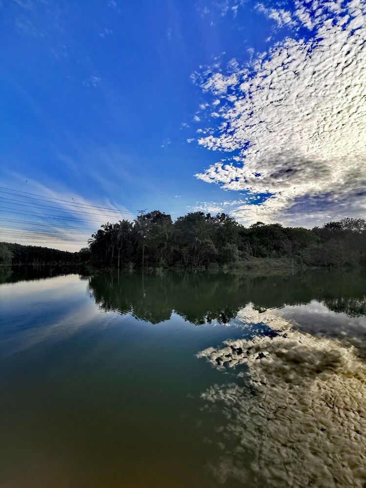 Photograph by Chunhou Poon