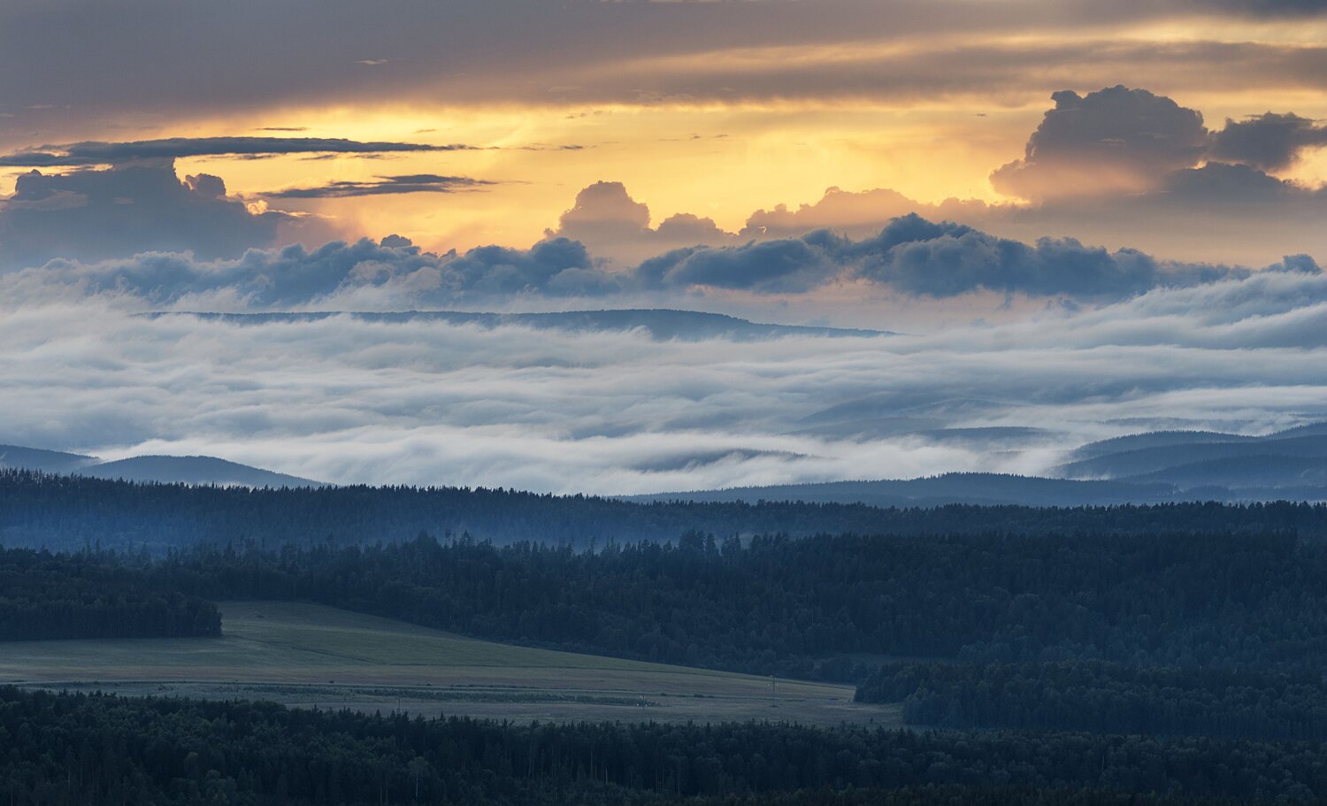 Photo #6725897