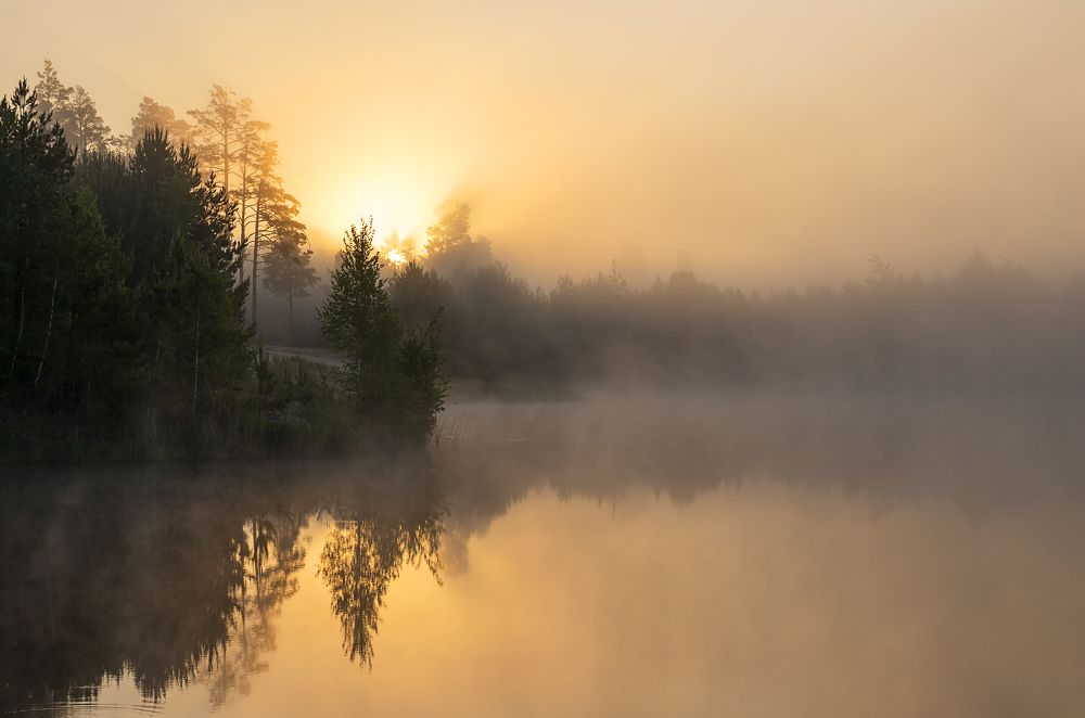 Photograph by Романов Евгений