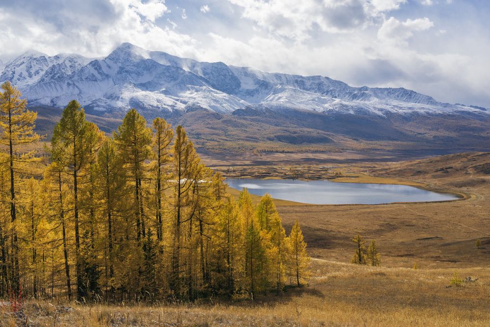 Фотография автора Олег Матроницкий
