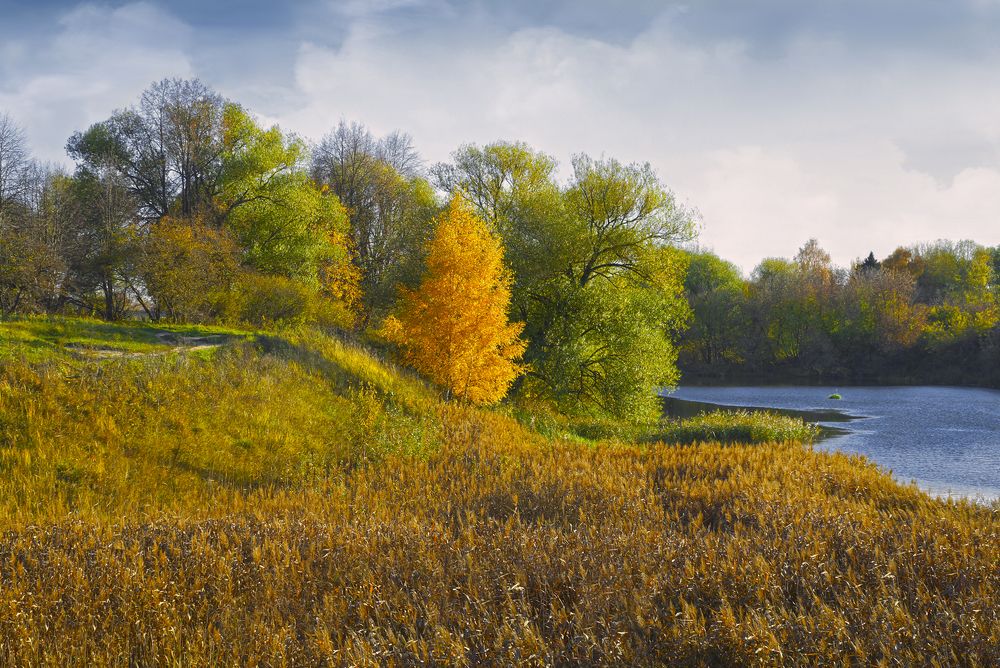 Photograph by Анатолий Максимов