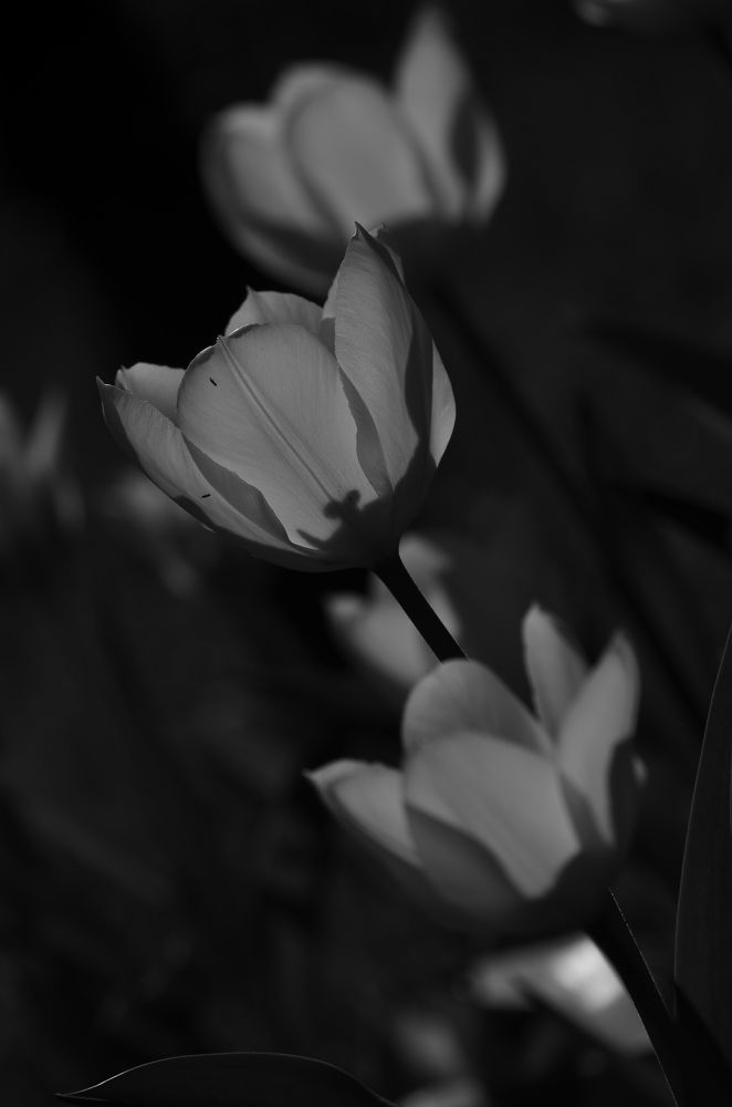 Photograph by Татьяна Козлова