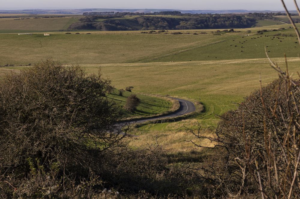 Photograph by Alexander Fomchenko