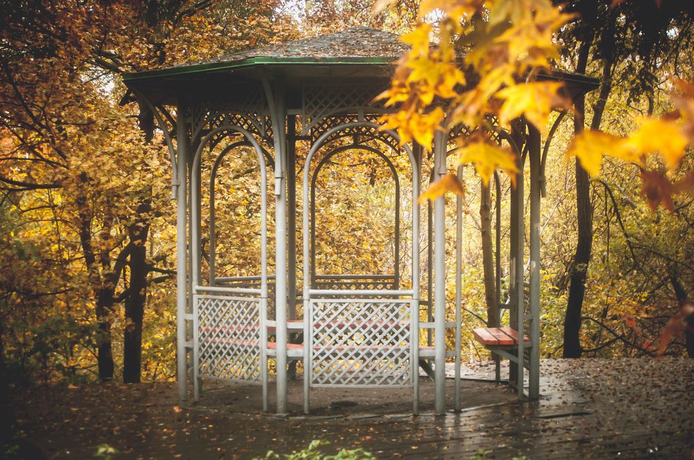 Photograph by Саша Литвин