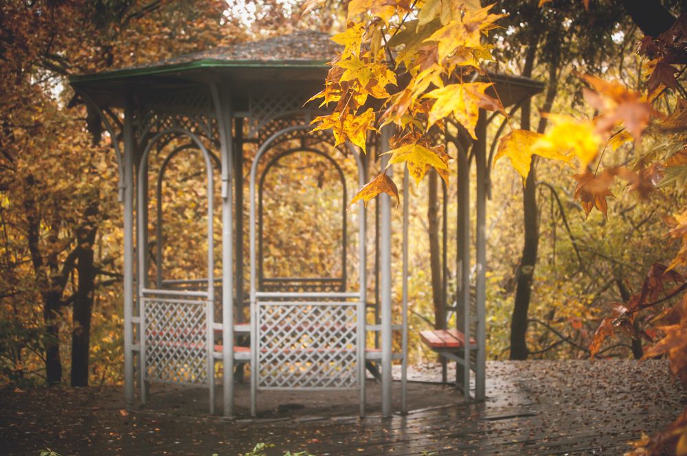 Photograph by Саша Литвин