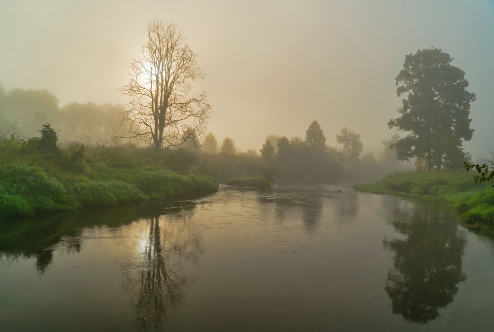 Photograph by Лилия Болдырева