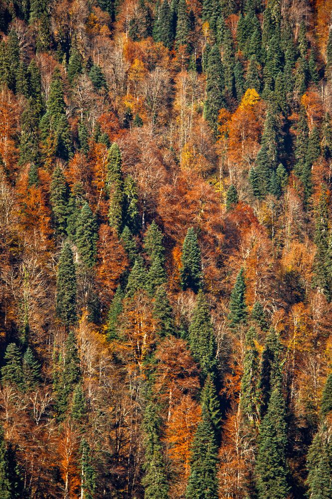 Фотография автора Oxana Yurasova