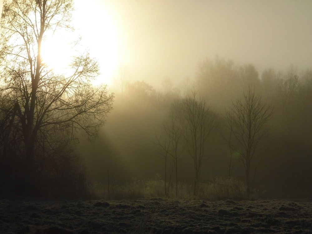 Photograph by сергей павлов