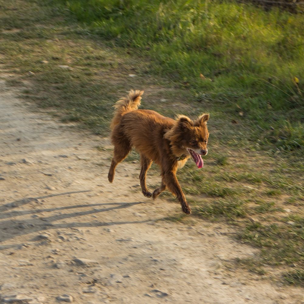 Photograph by Олег Башкуров
