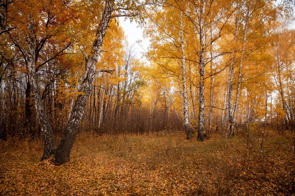 Photograph by Сергей Демидов