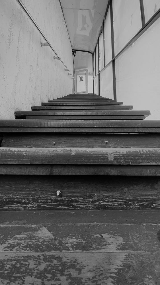 Фотография автора Николай Лысенко