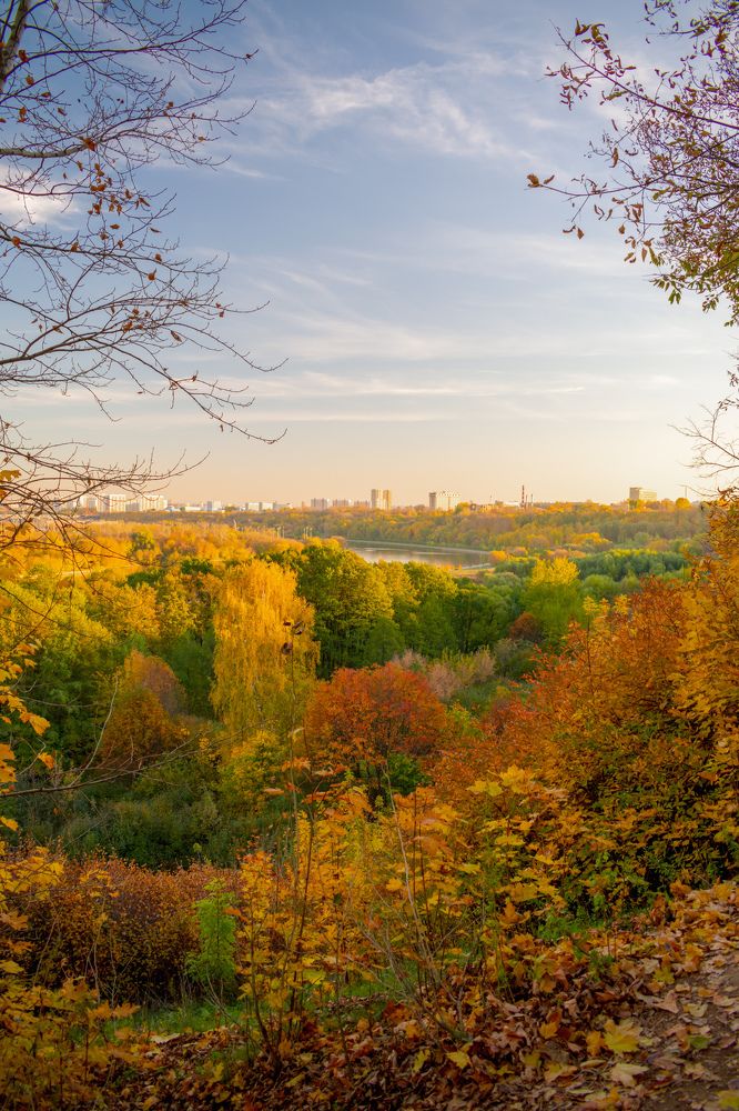 Photograph by Татьяна Шевцова