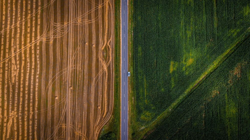 Photograph by Ангелина