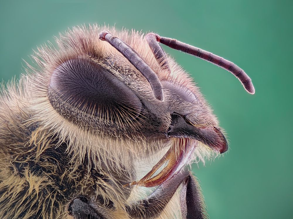 Photograph by Trung Nguyễn