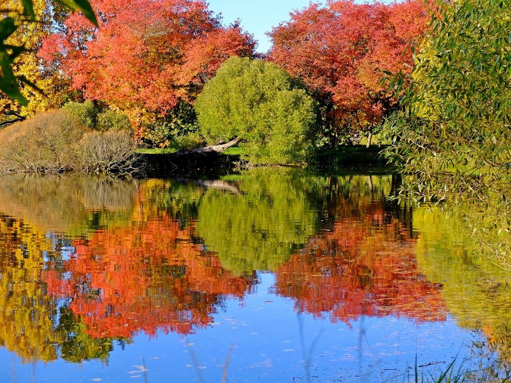 Photograph by ,Бурова Лариса