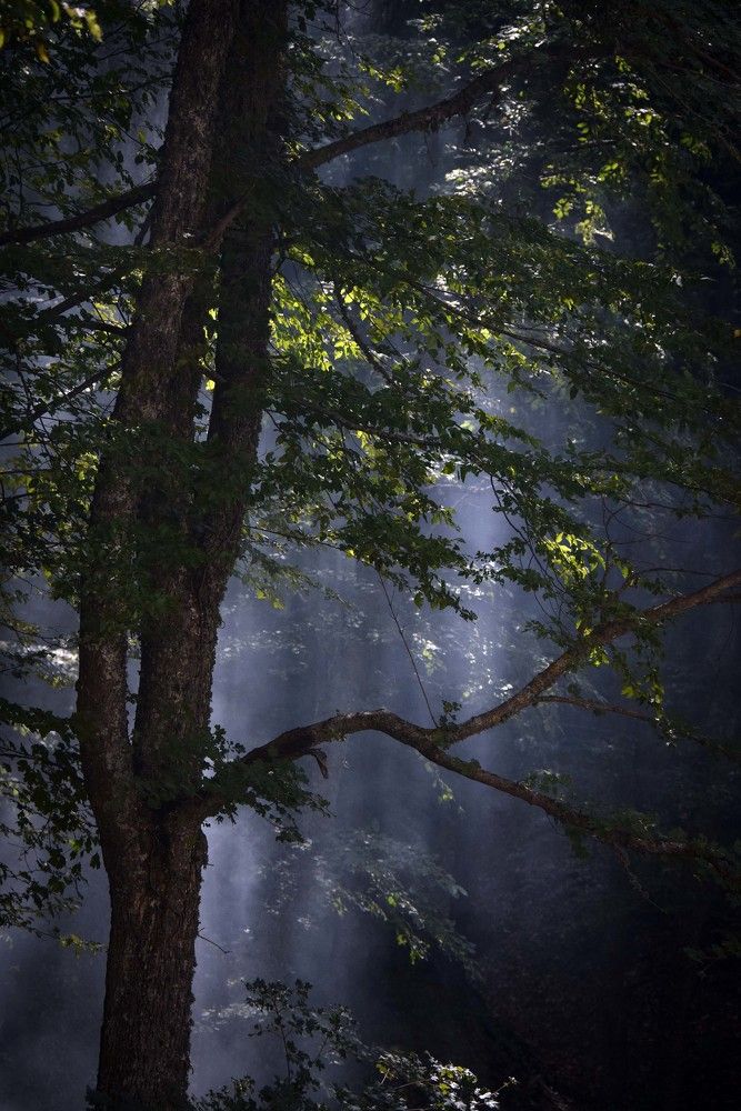 Photograph by Ирина Ри