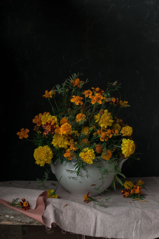 Фотография автора Светлана Бобошина