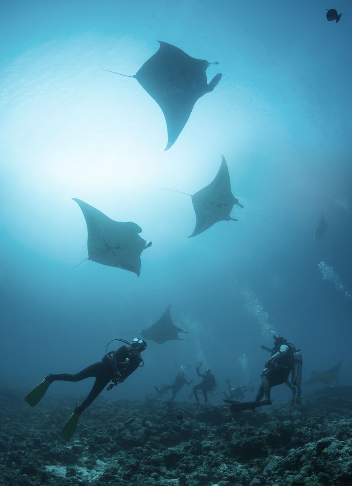 Фотография автора Димитрий Евтушик