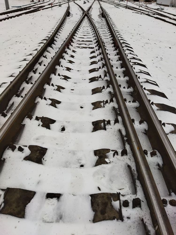 Фотография автора Веста Ягужинская