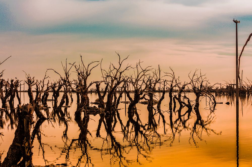 Photograph by Jorge Bagnuoli