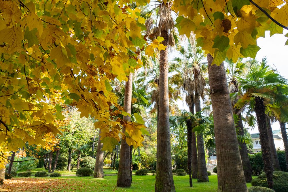 Photograph by Галина Аскольдовна Луковникова