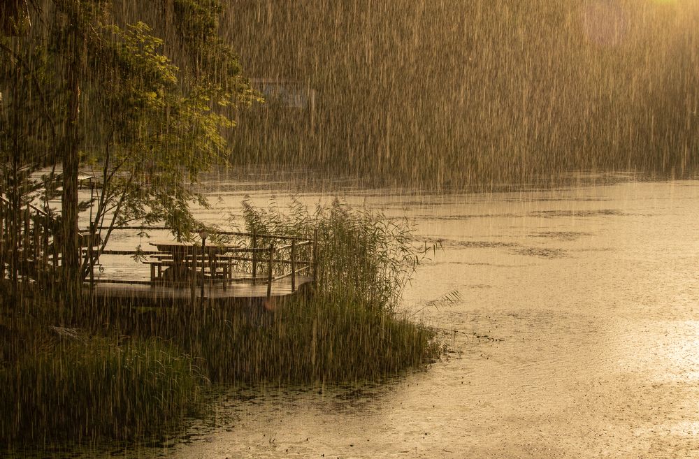 Поцелуй дождя