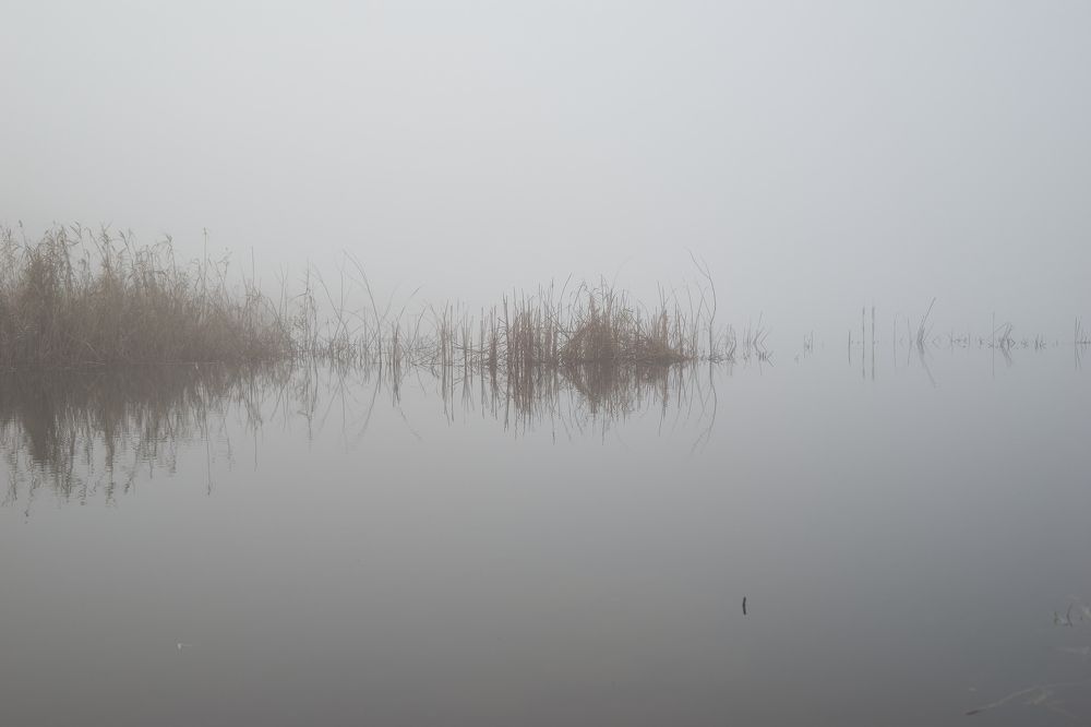 Осциллограмма природы