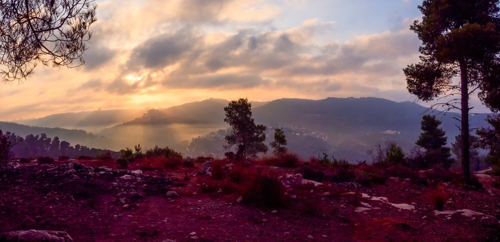 Photograph by Maxim Pshater