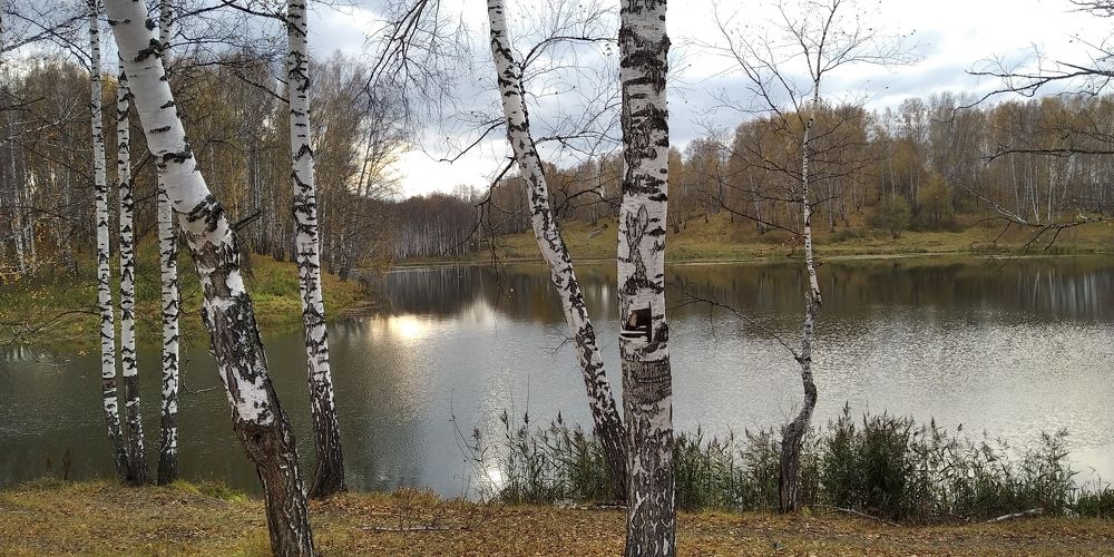 Photograph by Людмила Фризен