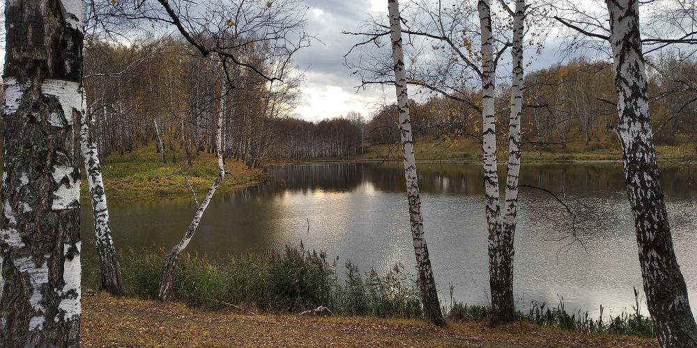 Photograph by Людмила Фризен