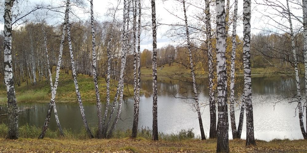Photograph by Людмила Фризен