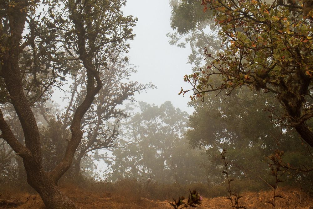 Photograph by Maxim Pshater