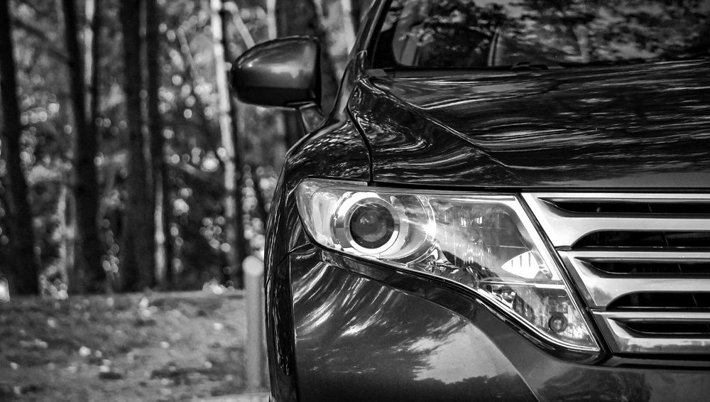 Photograph by Елена Пасажицкая