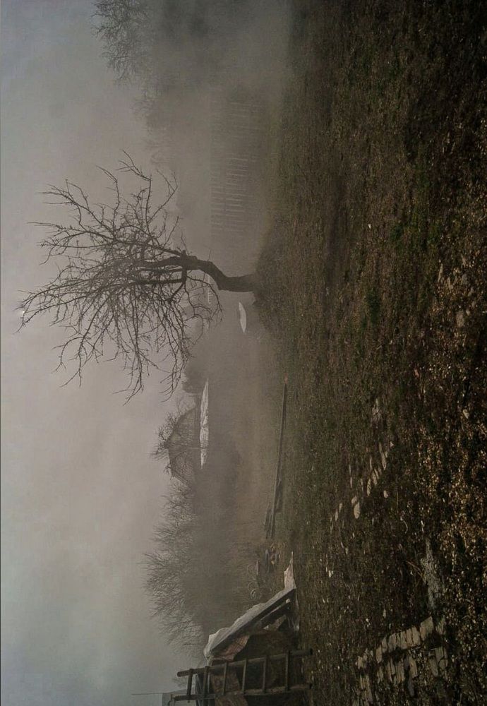 Photograph by Светлана Моисеева