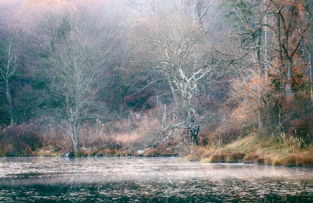 Photograph by Vyacheslav Shausmanov