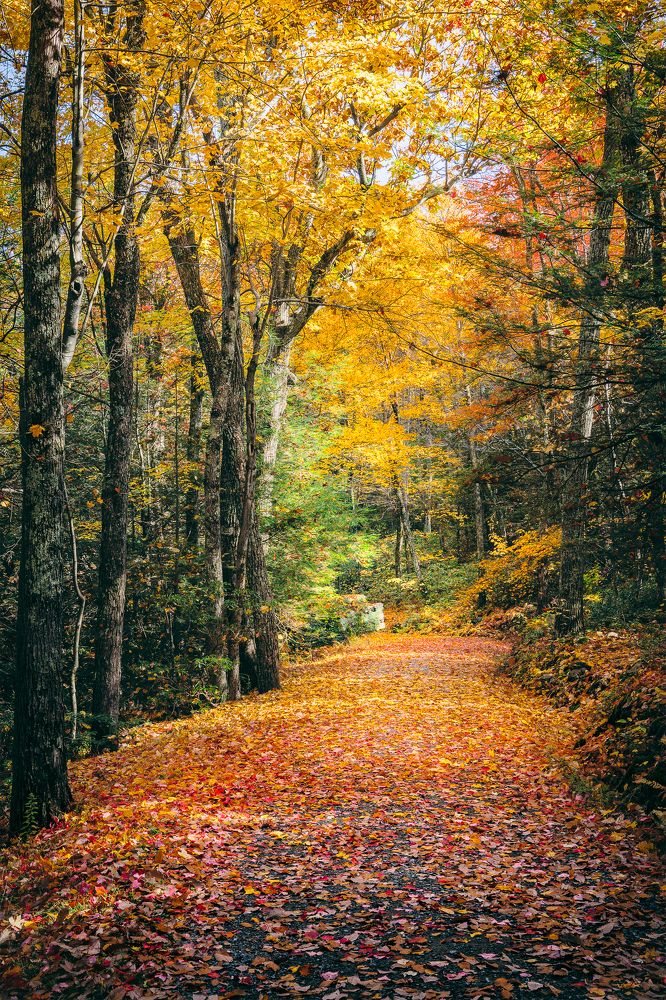 Photograph by Vyacheslav Shausmanov